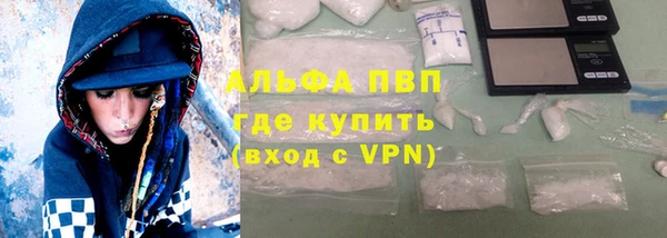 гашик Богданович