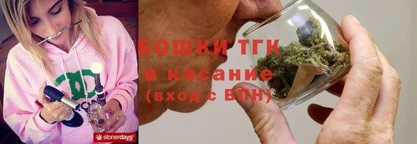 гашик Богданович