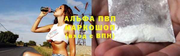 гашик Богданович