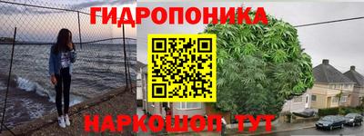 apvp Лесосибирск