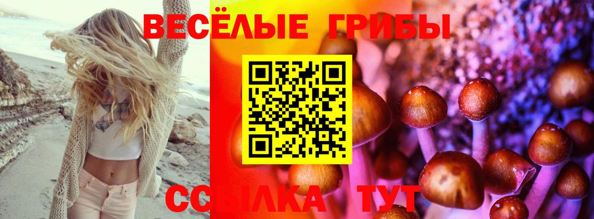 Галлюциногенные грибы GOLDEN TEACHER Волоколамск