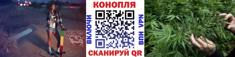 Бошки марихуана индика  цена   Волоколамск 